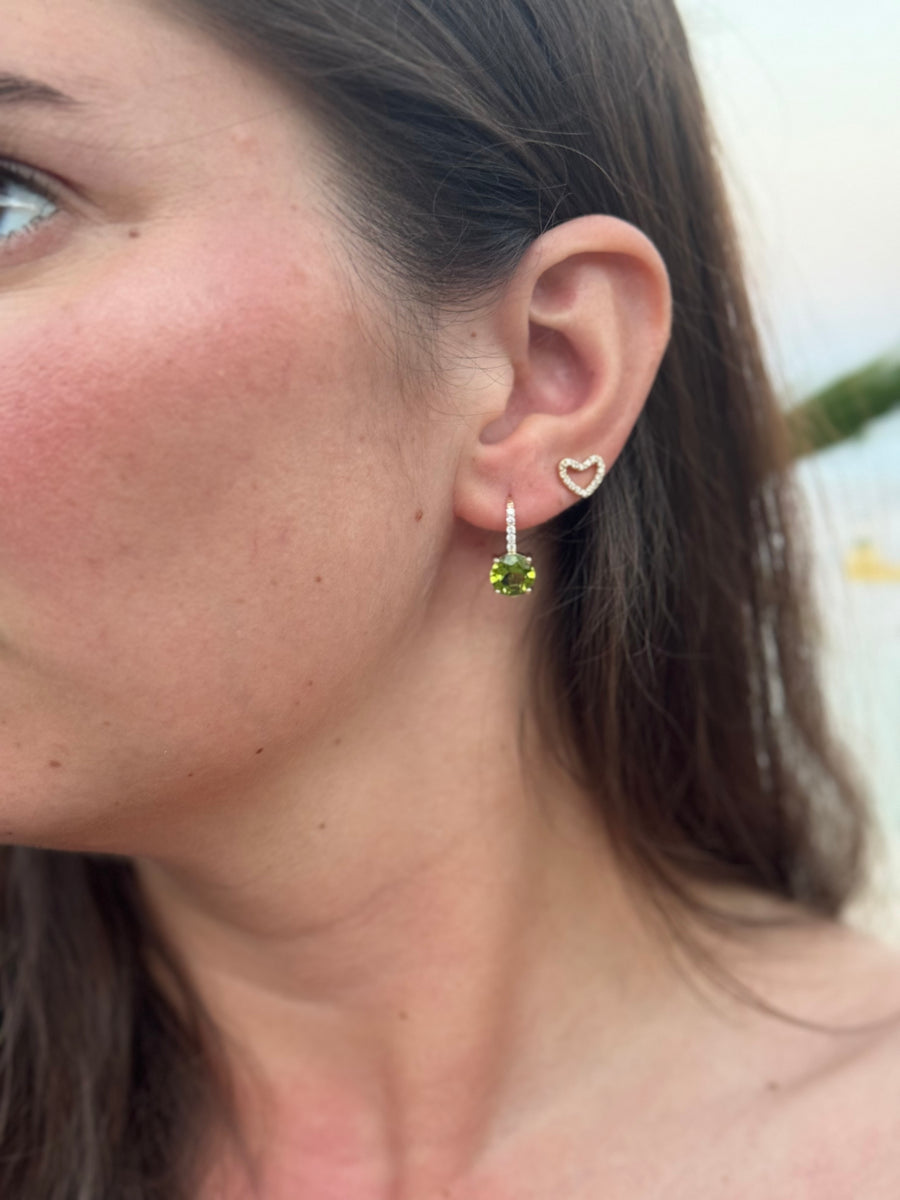 Gemstone Drop Lever Back Earrings