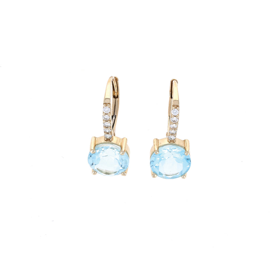 Gemstone Drop Lever Back Earrings