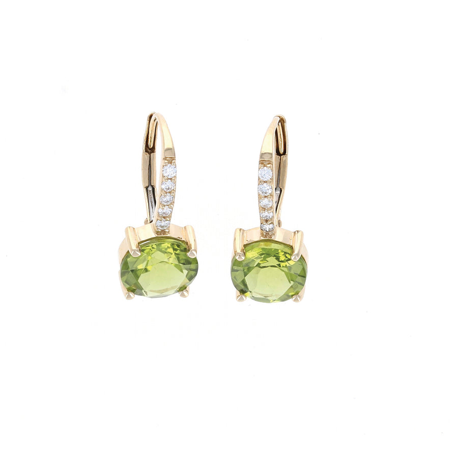 Gemstone Drop Lever Back Earrings